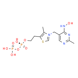 ChemSpider 2D Image | 3-{[4-(Hydroxyamino)-2-methyl-5-pyrimidinyl]methyl}-5-(2-{[(R)-hydroxy(phosphonooxy)phosphoryl]oxy}ethyl)-4-methyl-1,3-thiazol-3-ium | C12H19N4O8P2S