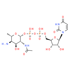 ChemSpider 2D Image | UDP-4-amino-4,6-dideoxy-L-N-acetyl-beta-L-altrosamine | C17H28N4O15P2