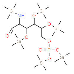 ChemSpider 2D Image | 6-O-(Bis[(trimethylsilyl)oxy]phosphoryl)-2-deoxy-3,4,5-tris-O-(trimethylsilyl)-2-[(trimethylsilyl)amino]hexose | C24H62NO8ψ6