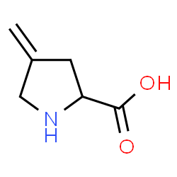 ChemSpider 2D Image | 4-Methyleneproline | C6H9NO2