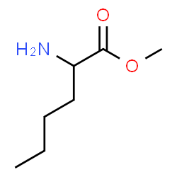 ChemSpider 2D Image | Methyl norleucinate | C7H15NO2
