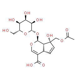 ChemSpider 2D Image | (1S,4aS,7R,7aS)-7-(Acetoxymethyl)-1-(beta-D-allopyranosyloxy)-7-hydroxy-1,4a,7,7a-tetrahydrocyclopenta[c]pyran-4-carboxylic acid | C18H24O12