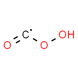ChemSpider 2D Image | Hydroperoxycarbonyl | CHO3