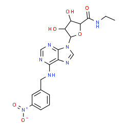 ChemSpider 2D Image | N-Ethyl-3,4-dihydroxy-5-{6-[(3-nitrobenzyl)amino]-9H-purin-9-yl}tetrahydro-2-furancarboxamide | C19H21N7O6