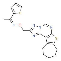 ChemSpider 2D Image | (1Z)-N-(9,10,11,12-Tetrahydro-8H-cyclohepta[4,5]thieno[3,2-e][1,2,4]triazolo[1,5-c]pyrimidin-2-ylmethoxy)-1-(2-thienyl)ethanimine | C19H19N5OS2