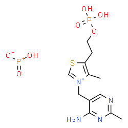 ChemSpider 2D Image | 2-[3-[(4-amino-2-methyl-pyrimidin-5-yl)methyl]-4-methyl-thiazol-3-ium-5-yl]ethyl dihydrogen phosphate; phosphenic acid | C12H19N4O7P2S