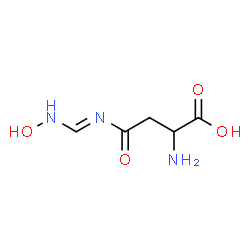 ChemSpider 2D Image | (E)-N-[(Hydroxyamino)methylene]asparagine | C5H9N3O4