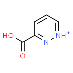 ChemSpider 2D Image | 3-Carboxypyridazin-1-ium | C5H5N2O2