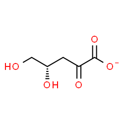 ChemSpider 2D Image | (4S)-4,5-Dihydroxy-2-oxopentanoate | C5H7O5