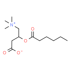 ChemSpider 2D Image | hexanoylcarnitine | C13H25NO4