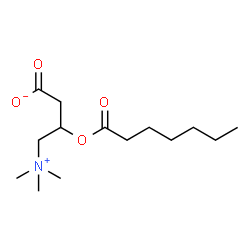 ChemSpider 2D Image | O-heptanoylcarnitine | C14H27NO4