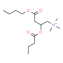 ChemSpider 2D Image | 4-Butoxy-2-(butyryloxy)-N,N,N-trimethyl-4-oxo-1-butanaminium | C15H30NO4