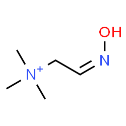 ChemSpider 2D Image | (2Z)-2-(Hydroxyimino)-N,N,N-trimethylethanaminium | C5H13N2O
