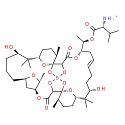 ChemSpider 2D Image | [(2R)-1-{(1R)-1-[(1R,5S,6R,8R,12R,14S,17R,18R,22S,24E,28S,30S,33R)-12,28-Dihydroxy-1,2,18,19-tetra(hydroxy-kappaO)-6,13,13,17,29,29,33-heptamethyl-3,20-dioxo-4,7,21,34,35-pentaoxatetracyclo[28.3.1.1~5
,8~.1~14,18~]hexatriacont-24-en-22-yl]ethoxy}-3-methyl-1-oxo-2-butanaminiumato(4-)]boron | C45H74BNO15