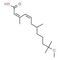 ChemSpider 2D Image | (2Z,4Z)-11-Methoxy-3,7,11-trimethyl-2,4-dodecadienoic acid | C16H28O3