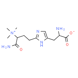 ChemSpider 2D Image | 2-Amino-3-{2-[4-amino-4-oxo-3-(trimethylammonio)butyl]-1H-imidazol-4-yl}propanoat | C13H23N5O3