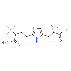 ChemSpider 2D Image | {3-[4-(2-AMINO-2-CARBOXY-ETHYL)-1H-IMIDAZOL-2-YL]-1-CARBAMOYL-PROPYL}-TRIMETHYL-AMMONIUM | C13H24N5O3