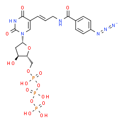 ChemSpider 2D Image | 5-{(1E)-3-[(4-Azidobenzoyl)amino]-1-propen-1-yl}-2'-deoxyuridine 5'-(tetrahydrogen triphosphate) | C19H23N6O15P3