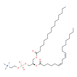 ChemSpider 2D Image | (2R)-2-[(6Z,9Z)-6,9-Octadecadienoyloxy]-3-(palmitoyloxy)propyl 2-(trimethylammonio)ethyl phosphate | C42H80NO8P