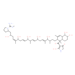ChemSpider 2D Image | 2-[(4Z,8E,12E,16E)-21-{5,6-Dihydroxy-1-[(2-hydroxy-4-oxo-4,5-dihydro-1H-pyrrol-3-yl)carbonyl]-1,3-dimethyl-1,2,4a,5,6,7,8,8a-octahydro-2-naphthalenyl}-2,6,10,14,18-pentahydroxy-5,11,17,19-tetramethyl-
4,8,12,16-henicosatetraen-1-yl]-1-pyrrolidinecarboximidamide | C47H74N4O10
