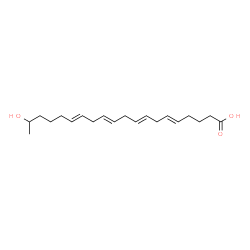 ChemSpider 2D Image | 19-hydroxy-5,8,11,14-eicosatetraenoic acid | C20H32O3