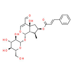 ChemSpider 2D Image | (1S,4aS,6R,7S,7aS)-4-Formyl-1-(beta-D-glucopyranosyloxy)-4a-hydroxy-7-methyl-1,4a,5,6,7,7a-hexahydrocyclopenta[c]pyran-6-yl (2E)-3-phenylacrylate | C25H30O11