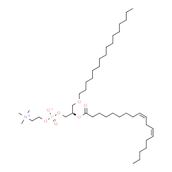 ChemSpider 2D Image | 1-hexadecyl-2-[(9Z,12Z)-octadecadienoyl]-sn-glycero-3-phosphocholine | C42H82NO7P
