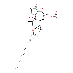 ChemSpider 2D Image | (1aR,1bS,4aR,7aS,7bR,8R,9aS)-3-(Acetoxymethyl)-4a,7b-dihydroxy-1,1,6,8-tetramethyl-5-oxo-1,1a,1b,4,4a,5,7a,7b,8,9-decahydro-9aH-cyclopropa[3,4]benzo[1,2-e]azulen-9a-yl (2E)-2-dodecenoate | C34H50O7