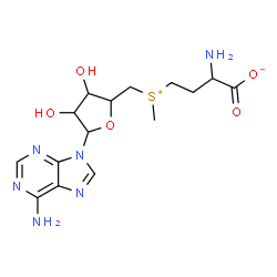 ChemSpider 2D Image | 2-Amino-4-[{[5-(6-amino-9H-purin-9-yl)-3,4-dihydroxytetrahydro-2-furanyl]methyl}(methyl)sulfonio]butanoate | C15H22N6O5S