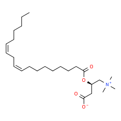 ChemSpider 2D Image | Linoleyl carnitine | C25H45NO4