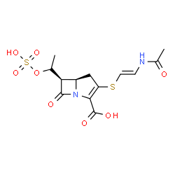 ChemSpider 2D Image | (5R,6R)-3-{[(E)-2-Acetamidovinyl]sulfanyl}-7-oxo-6-[(1R)-1-(sulfooxy)ethyl]-1-azabicyclo[3.2.0]hept-2-ene-2-carboxylic acid | C13H16N2O8S2