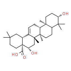 ChemSpider 2D Image | (3beta,5xi,16beta,18alpha)-3,16-Dihydroxyolean-12-en-28-oic acid | C30H48O4