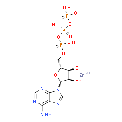 ChemSpider 2D Image | Zinc (2R,3R,4R,5R)-2-(6-amino-9H-purin-9-yl)-5-{[(hydroxy{[hydroxy(phosphonooxy)phosphoryl]oxy}phosphoryl)oxy]methyl}tetrahydro-3,4-furandiolate | C10H14N5O13P3Zn