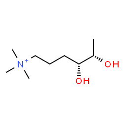 ChemSpider 2D Image | (4R,5S)-4,5-Dihydroxy-N,N,N-trimethyl-1-hexanaminium | C9H22NO2