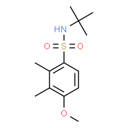 ChemSpider 2D Image | N-tert-Butyl-4-methoxy-2,3-dimethylbenzenesulfonamide | C13H21NO3S