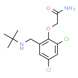 ChemSpider 2D Image | 2-(2,4-Dichloro-6-{[(2-methyl-2-propanyl)amino]methyl}phenoxy)acetamide | C13H18Cl2N2O2