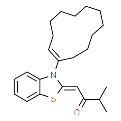 ChemSpider 2D Image | (1Z)-1-{3-[(1E)-1-Cyclododecen-1-yl]-1,3-benzothiazol-2(3H)-ylidene}-3-methyl-2-butanone | C24H33NOS