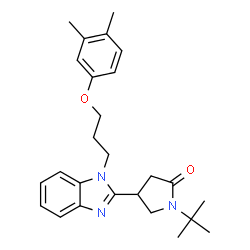 ChemSpider 2D Image | 4-{1-[3-(3,4-Dimethylphenoxy)propyl]-1H-benzimidazol-2-yl}-1-(2-methyl-2-propanyl)-2-pyrrolidinone | C26H33N3O2