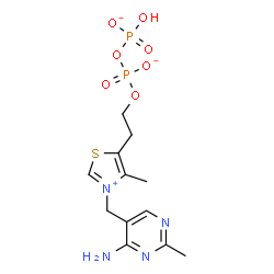 ChemSpider 2D Image | Thiazolium, 3-[(4-amino-2-methyl-5-pyrimidinyl)methyl]-5-[2-[[hydroxy(phosphonooxy)phosphinyl]oxy]ethyl]-4-methyl-, inner salt, ion(1-) | C12H17N4O7P2S