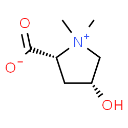 ChemSpider 2D Image | (+)-turicine | C7H13NO3