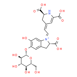 ChemSpider 2D Image | (1Z,2S)-2-Carboxy-1-{(2Z)-2-[(2S)-2,6-dicarboxy-2,3-dihydro-4(1H)-pyridinylidene]ethylidene}-6-hydroxy-2,3-dihydro-1H-indolium-5-yl beta-D-glucopyranoside | C24H27N2O13