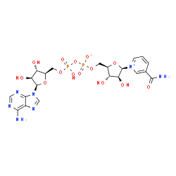 ChemSpider 2D Image | [[(2R,3S,4S,5R)-5-(6-aminopurin-9-yl)-3,4-dihydroxy-tetrahydrofuran-2-yl]methoxy-hydroxy-phosphoryl] [(2R,3S,4S,5R)-5-(3-carbamoylpyridin-1-ium-1-yl)-3,4-dihydroxy-tetrahydrofuran-2-yl]methyl phosphate | C21H27N7O14P2