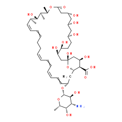 ChemSpider 2D Image | (1S,3R,4S,7R,9R,11R,15S,16S,17S,18S,33S,35S,36R,37R)-33-[(3-Amino-3,6-dideoxy-beta-L-galactopyranosyl)oxy]-1,3,4,7,9,11,17,37-octahydroxy-15,16,18-trimethyl-13-oxo-14,39-dioxabicyclo[33.3.1]nonatriaco
nta-19,21,25,27,29,31-hexaene-36-carboxylic acid | C47H75NO17