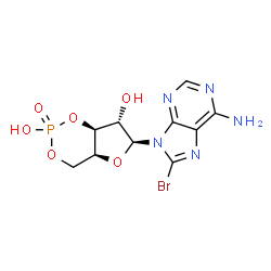 ChemSpider 2D Image | (4aS,6S,7S,7aS)-6-(6-Amino-8-bromo-9H-purin-9-yl)tetrahydro-4H-furo[3,2-d][1,3,2]dioxaphosphinine-2,7-diol 2-oxide | C10H11BrN5O6P