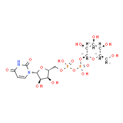 ChemSpider 2D Image | [(2R,3S,4R,5R)-5-(2,4-Dioxo-3,4-dihydro-1(2H)-pyrimidinyl)-3,4-dihydroxytetrahydro-2-furanyl]methyl (2R,3R,4S,5S,6R)-3,4,5-trihydroxy-6-[hydroxy(~14~C)methyl](~14~C_5_)tetrahydro-2H-pyran-2-yl dihydro
gen diphosphate (non-preferred name) | C914C6H24N2O17P2