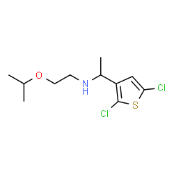 ChemSpider 2D Image | 1-(2,5-Dichloro-3-thienyl)-N-(2-isopropoxyethyl)ethanamine | C11H17Cl2NOS