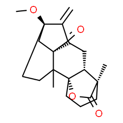 ChemSpider 2D Image | (1S,5S,8R,11R,12R)-5-Methoxy-2,12-dimethyl-6-methylene-16-oxapentacyclo[10.3.2.1~5,8~.0~1,11~.0~2,8~]octadecane-7,17-dione | C21H28O4