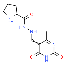 ChemSpider 2D Image | 2-({2-[(4-Methyl-2,6-dioxo-1,6-dihydro-5(2H)-pyrimidinylidene)methyl]hydrazino}carbonyl)pyrrolidinium | C11H16N5O3