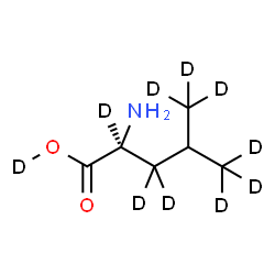 ChemSpider 2D Image | L-Leucine-d10 | C6H3D10NO2