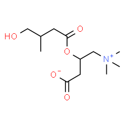 ChemSpider 2D Image | hydroxyisovaleroyl carnitine | C12H23NO5